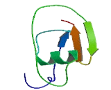 Cysteine Rich Secretory Protein LCCL Domain Containing Protein 2 (CRISPLD2)