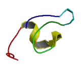 Cysteine Rich Transmembrane BMP Regulator 1 (CRIM1)