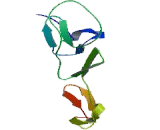 Cysteine Rich With EGF Like Domains Protein 1 (CRELD1)