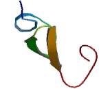 Cysteine Rich With EGF Like Domains Protein 2 (CRELD2)