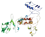 Cysteine Serine Rich Nuclear Protein 1 (CSRNP1)