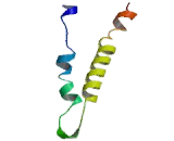 Cysteinyl Leukotriene Receptor 2 (CYSLTR2)