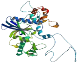 Cysteinyl tRNA Synthetase (CARS)