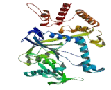 Cysteinyl tRNA Synthetase 2, Mitochondrial (CARS2)