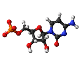 Cytidine Monophosphate (CMP)