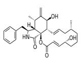 Cytochalasin B (CB)