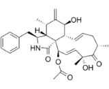 Cytochalasin D (CD)