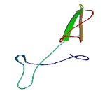 Cytochrome C Oxidase Assembly Factor 5 (COA5)