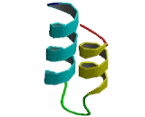 Cytochrome C Oxidase Assembly Protein 19 (COX19)