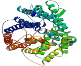 Cytochrome C Oxidase Subunit I (COX1)