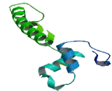 Cytochrome C Oxidase Subunit IV Isoform 2 (COX4I2)