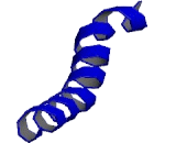 Cytochrome C Oxidase Subunit VIII (COX8)