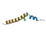 Cytochrome C Oxidase Subunit VIIa (COX7a)