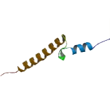 Cytochrome C Oxidase Subunit VIIa Polypeptide 2 (COX7a2)