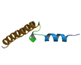 Cytochrome C Oxidase Subunit VIIa Polypeptide 2 Like Protein (COX7a2L)