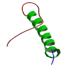 Cytochrome C Oxidase Subunit VIIb (COX7b)