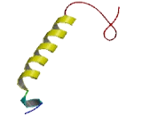 Cytochrome C Oxidase Subunit VIIb Polypeptide 2 (COX7b2)