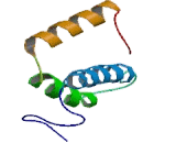 Cytochrome C Oxidase Subunit VIb (COX6b)