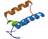 Cytochrome C Oxidase Subunit VIb Polypeptide 2 (COX6b2)