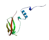 Cytochrome C Oxidase Subunit Vb (COX5b)