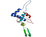 Cytochrome P450 11B1 (CYP11B1)