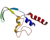 Cytochrome P450 26B1 (CYP26B1)