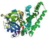 Cytochrome P450 2F1 (CYP2F1)