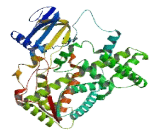 Cytochrome P450 2S1 (CYP2S1)