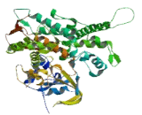 Cytochrome P450 4A11 (CYP4A11)