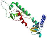 Cytochrome P450 4F12 (CYP4F12)