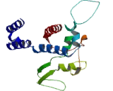 Cytochrome P450 4F22 (CYP4F22)