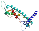 Cytochrome P450 4F8 (CYP4F8)