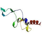 Cytochrome P450 4V2 (CYP4V2)