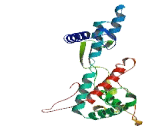 Cytochrome P450 4X1 (CYP4X1)