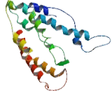 Cytochrome b-561 (CYB561)