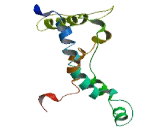 Cytochrome b-561 Domain Containing Protein 1 (CYB561D1)