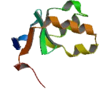 Cytochrome b5, Form B (CYB5B)