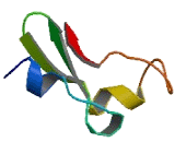 Cytochrome b5 Domain Containing Protein 1 (CYB5D1)