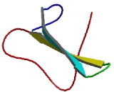 Cytochrome b5 Reductase Like Protein (CYB5RL)