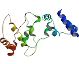 Cytohesin 1 (CYTH1)