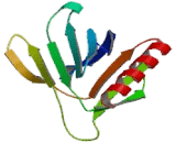 Cytohesin 2 (CYTH2)