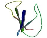 Cytokine Receptor Like Factor 3 (CRLF3)