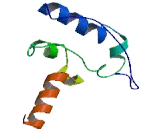 Cytoplasmic FMR1 Interacting Protein 1 (CYFIP1)