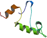 Cytoplasmic Linker Associated Protein 1 (CLASP1)