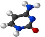 Cytosine (Cyt)