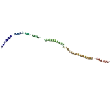 Cytoskeleton Associated Protein 2 Like Protein (CKAP2L)