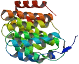 Cytoskeleton Associated Protein 5 (CKAP5)