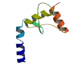 Cytosolic Thiouridylase Subunit 2 (CTU2)