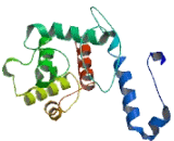 Cytospin A (CYTSA)