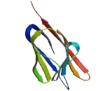 Cytotoxic And Regulatory T-Cell Molecule (CRTAM)